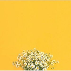 Meet your Posher, Kn